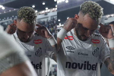 imagem (97)
